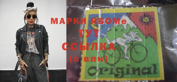 ешки Бородино