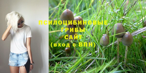 кокаин перу Богданович