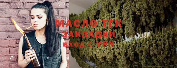 ешки Бородино