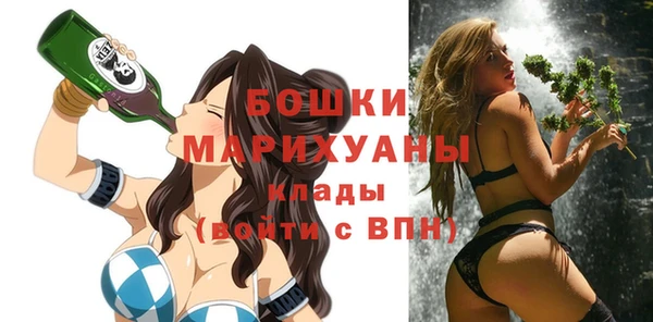 молекула духа Бронницы