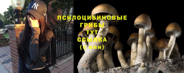 Альфа ПВП Бугульма