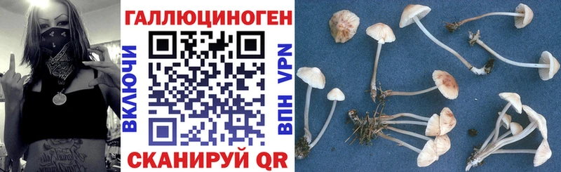 Псилоцибиновые грибы прущие грибы  Княгинино 